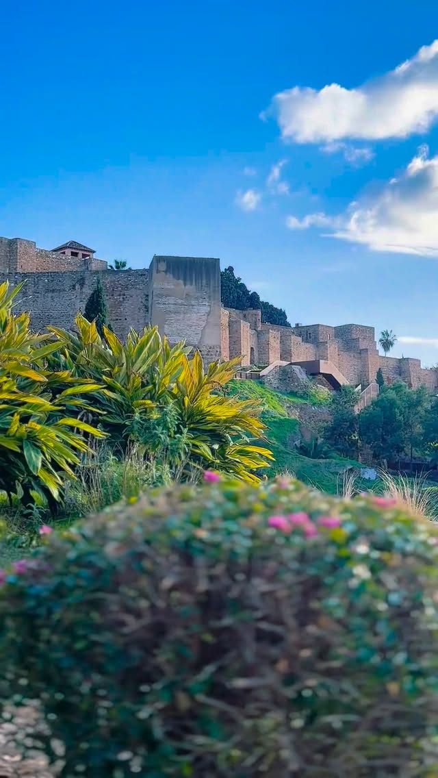 Instagram post from apecom_malaga. This post is in position 3.